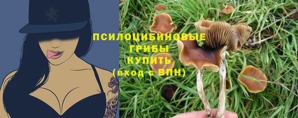 спайс Балабаново